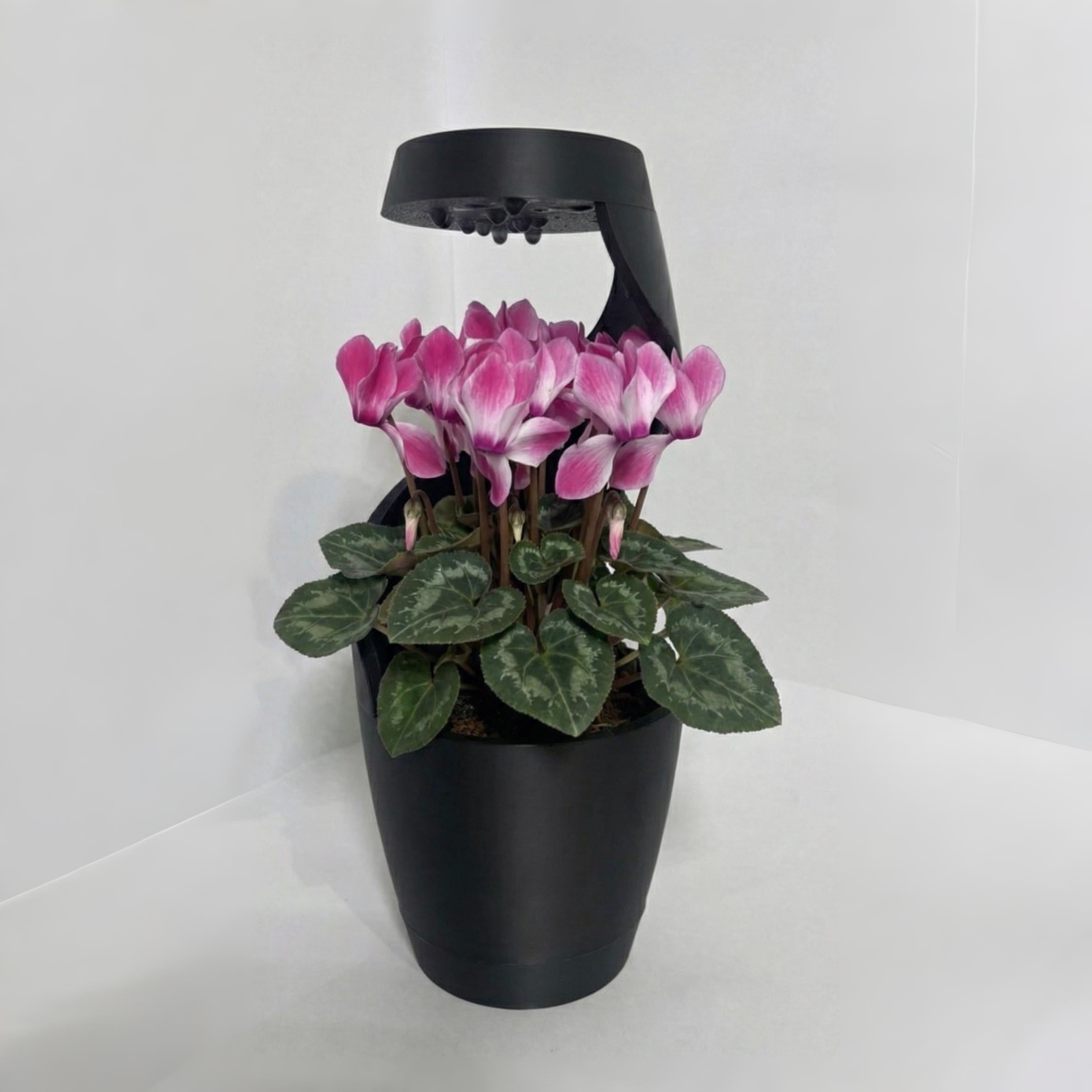 AquaSpiral Planter