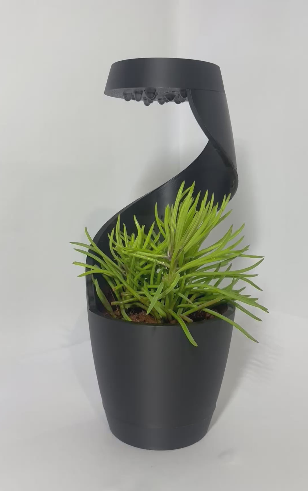 AquaSpiral Planter